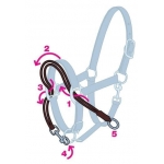 Ezyloader Headcollar Adaptor 